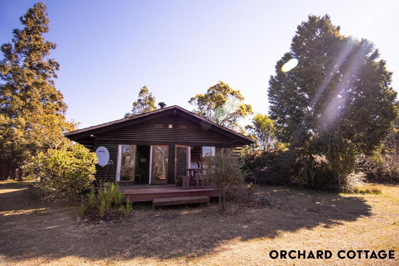 Jaya'S Place Hogsback Exterior foto
